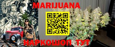spice Новодвинск